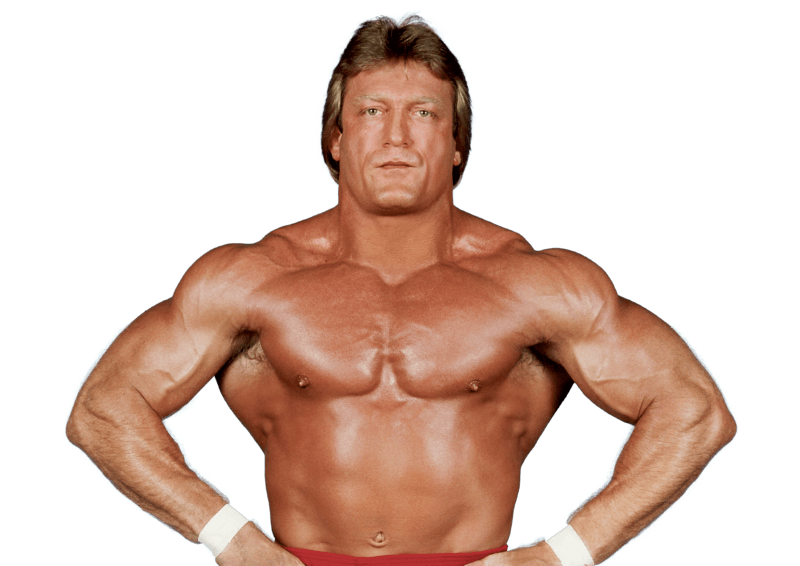 Paul Orndorff - Pro Wrestler Profile