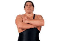 Andre the giant