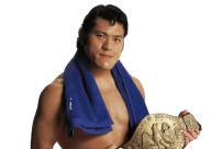 Antonio inoki new