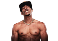 AR Fox