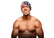 AR Fox