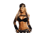 Ashley massaro