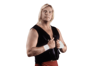 Barry windham