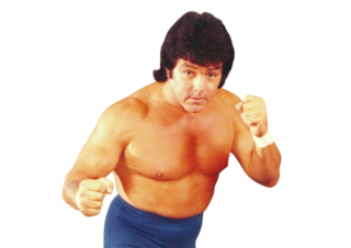 Bill Dundee