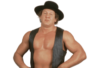 Bob orton