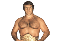 Bruno sammartino