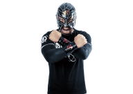 Bushi