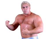 Dino bravo