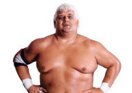 Dusty rhodes