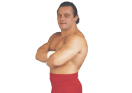 Dynamite kid