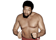 Ernie ladd