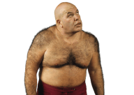 George steele