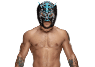 Lince dorado