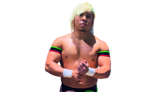 Nobu San / Nobuhiro Shimatani