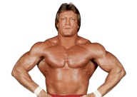 Paul orndorff