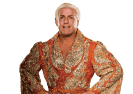 Ric flair