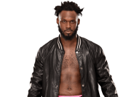 Rich swann