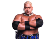 Rikishi