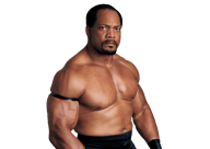 Ron simmons