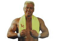 Ronnie Garvin