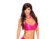 Rosa mendes