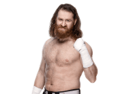 Sami zayn