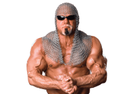 Scott steiner