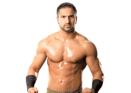 Shawn daivari