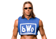 Stevie richards