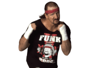 Terry funk