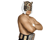 Tiger mask