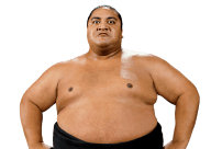 Yokozuna