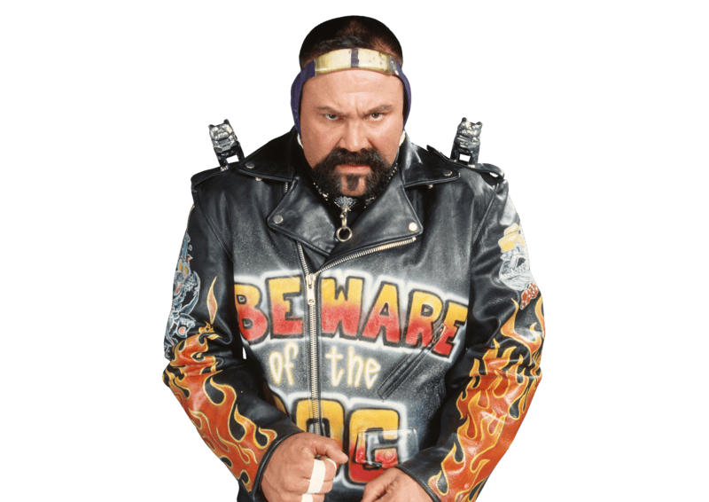 Rick Steiner - Pro Wrestler Profile