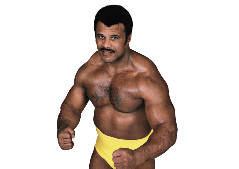 Rocky Johnson - Pro Wrestler Profile