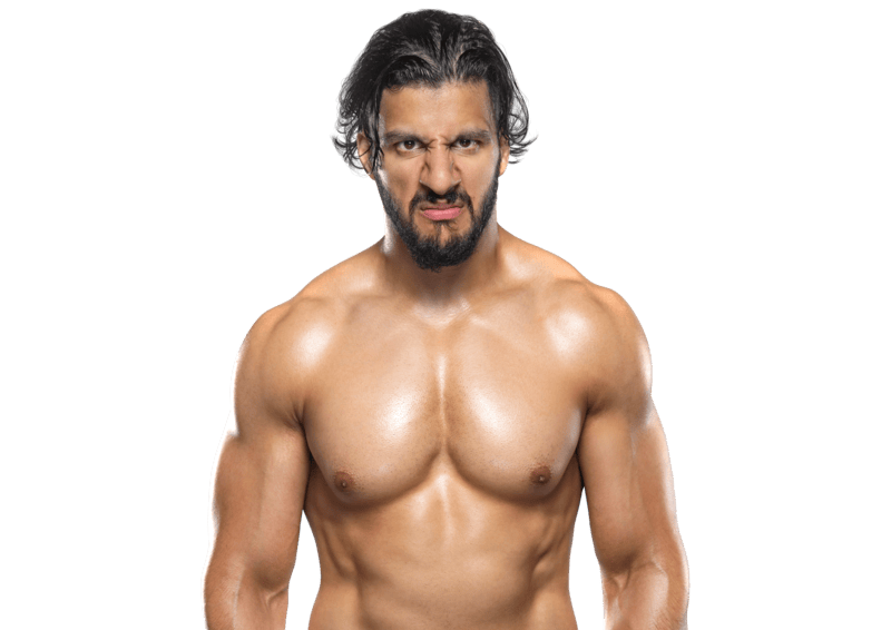 Rohan Raja / Gursinder Singh - Pro Wrestler Profile