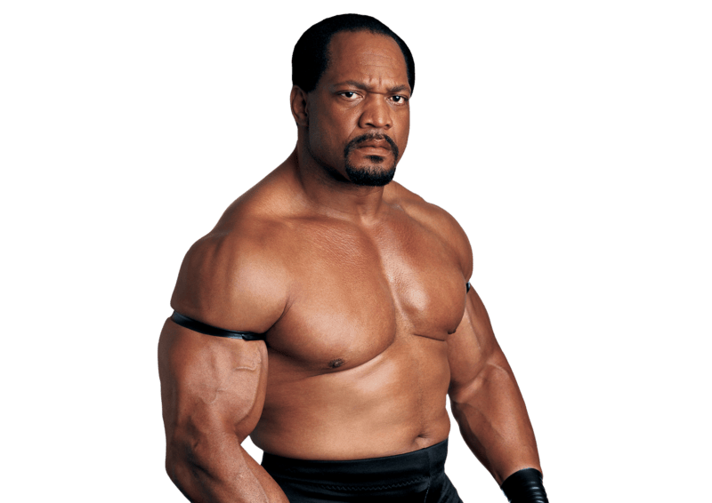 Ron Simmons / Faarooq - Pro Wrestler Profile