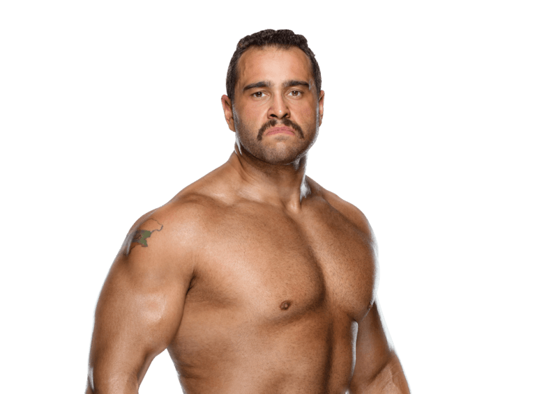 Rusev / Miro - Pro Wrestler Profile