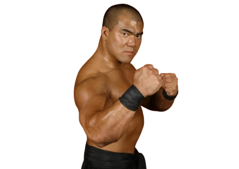 Sakoda - Pro Wrestler Profile