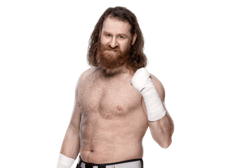 Sami Zayn - Pro Wrestler Profile