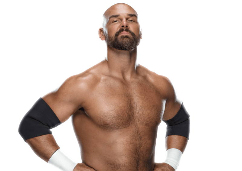 Scott Dawson / Dax Harwood - Pro Wrestler Profile