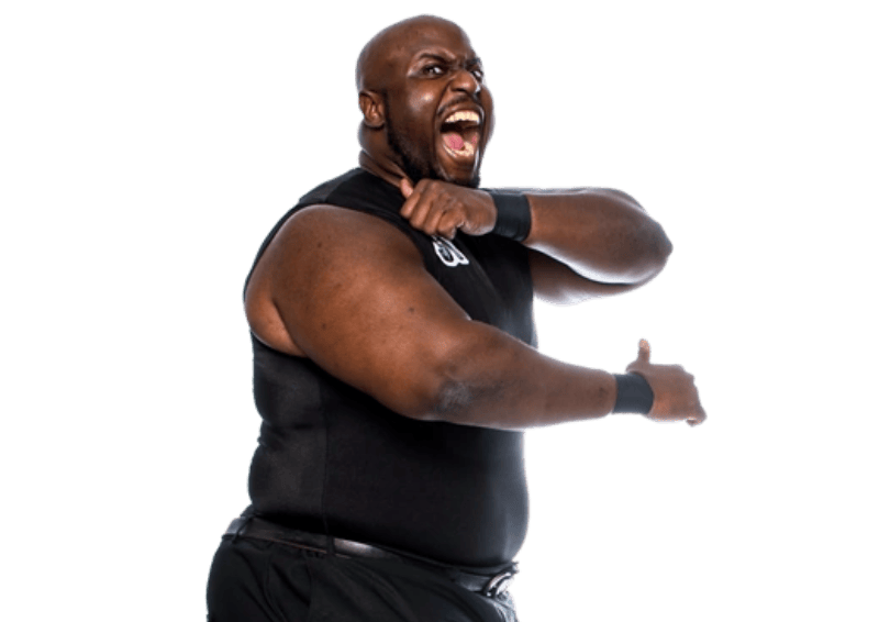 Shane Taylor - Pro Wrestlers Database