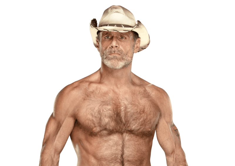 Shawn Michaels - Pro Wrestler Profile
