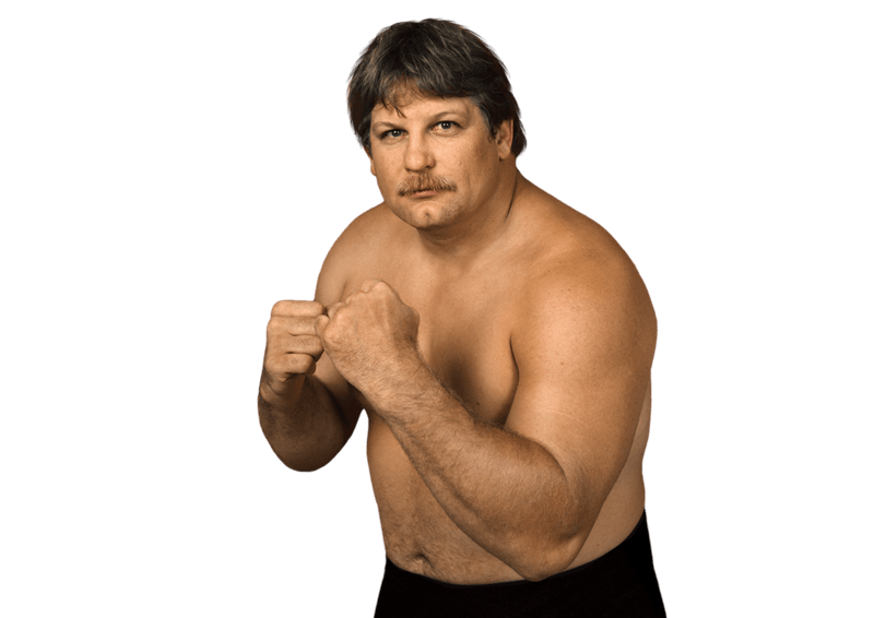 Stan Hansen - Pro Wrestler Profile