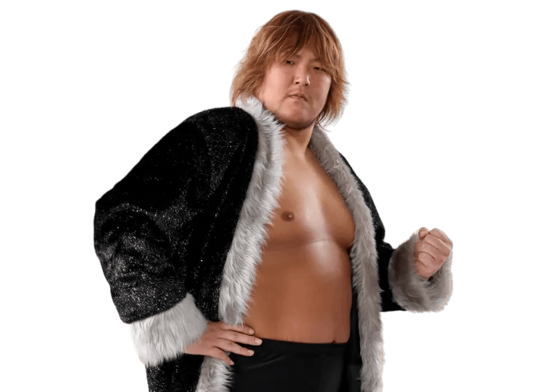 Takeshi Morishima - Pro Wrestler Profile