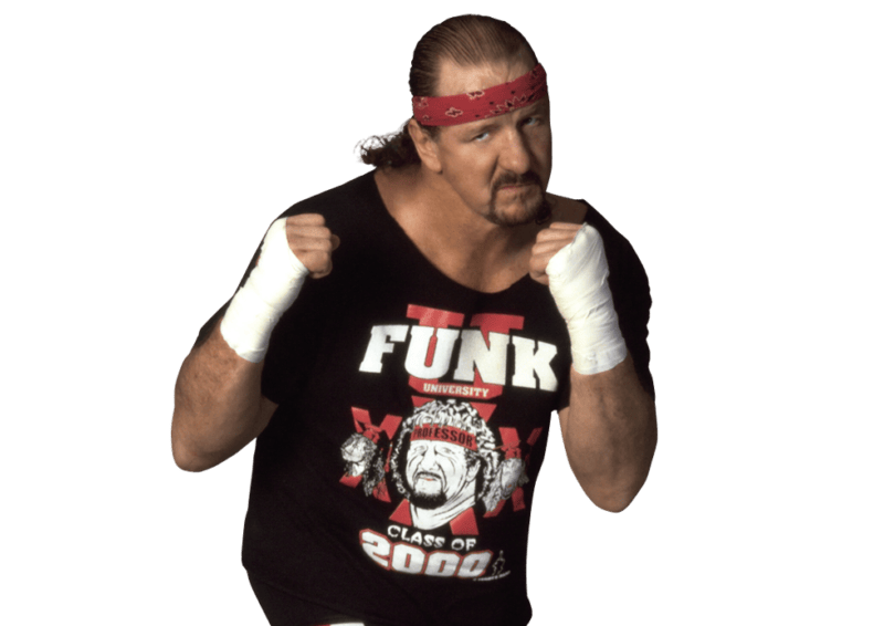 Terry Funk - Pro Wrestler Profile