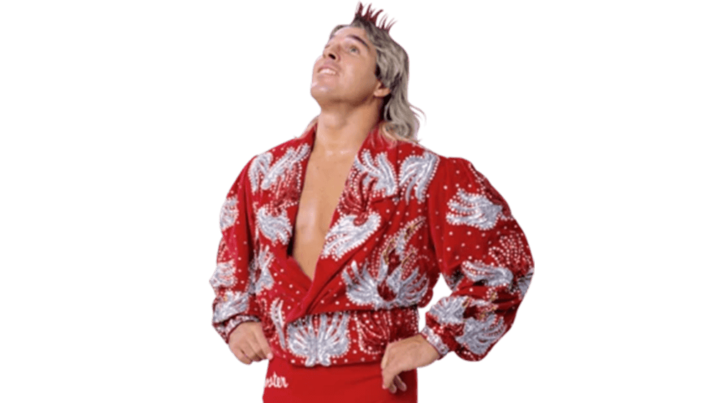 Terry Taylor - Pro Wrestler Profile