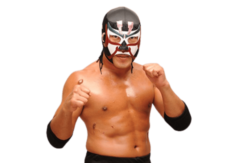The Great Sasuke - Pro Wrestler Profile