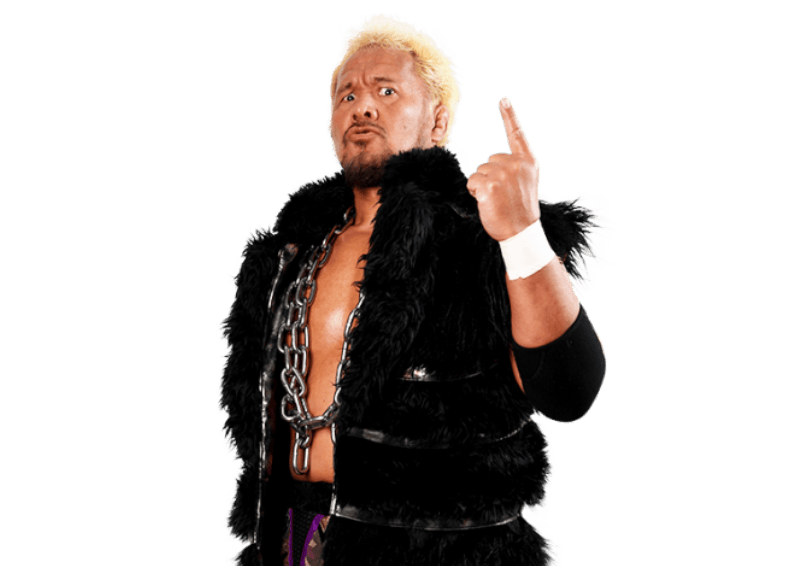 Togi Makabe - Pro Wrestler Profile