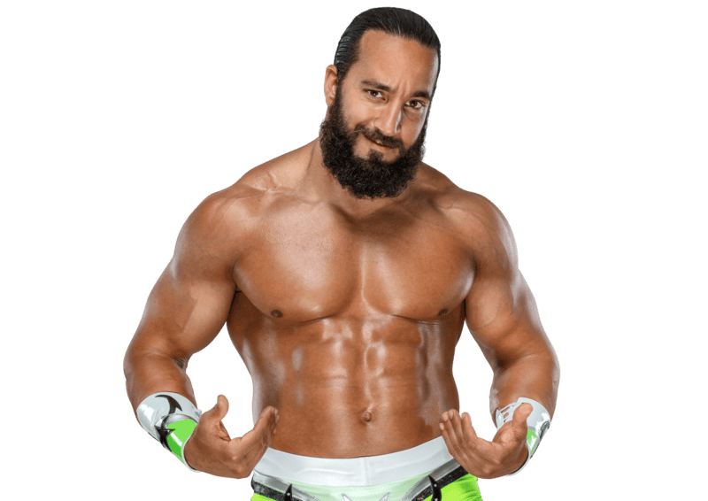 Tony Nese - Pro Wrestler Profile