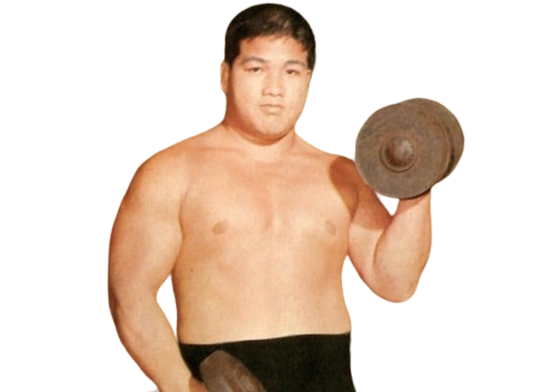 Toyonobori - Pro Wrestler Profile